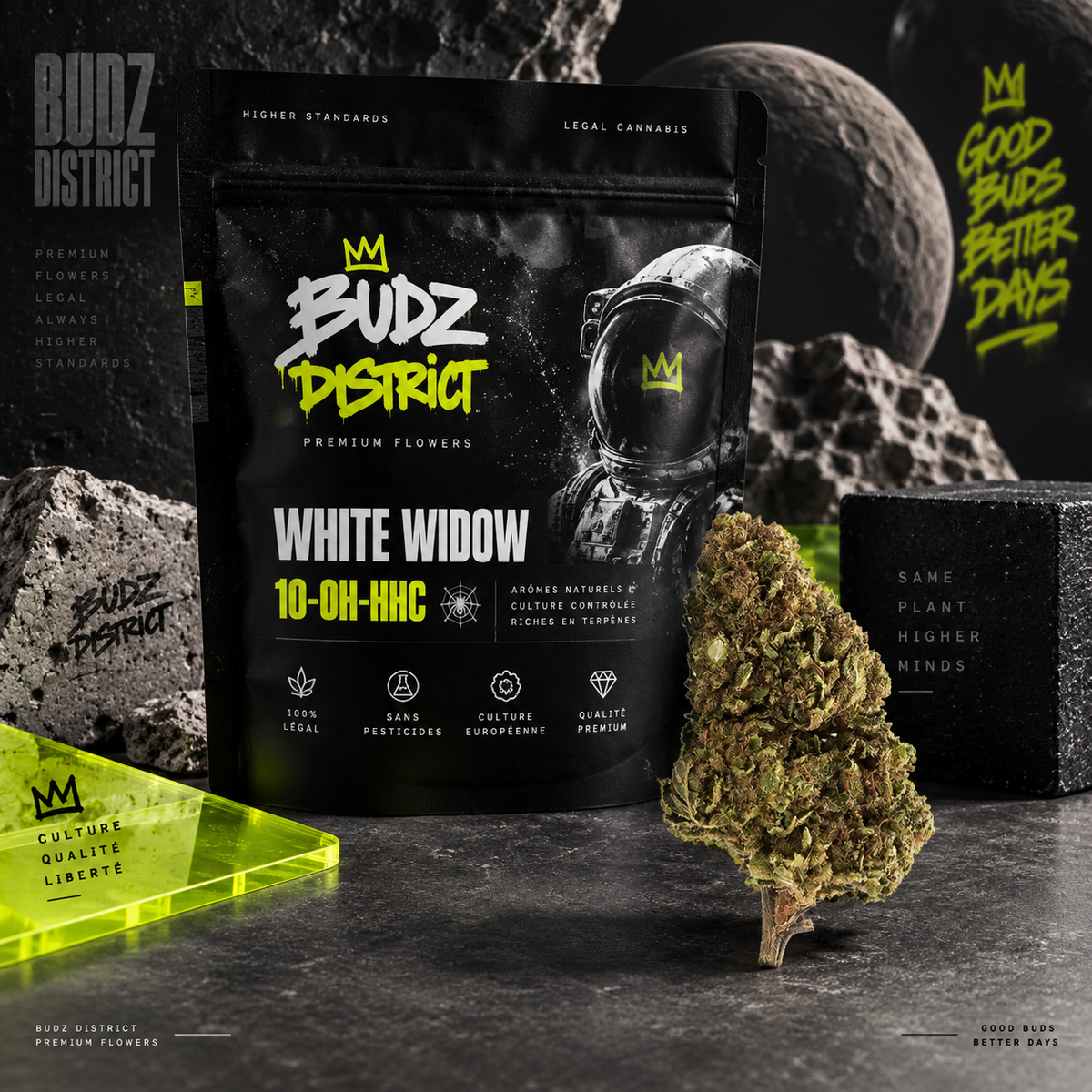 White Widow 10-OH-HHC 🕸️