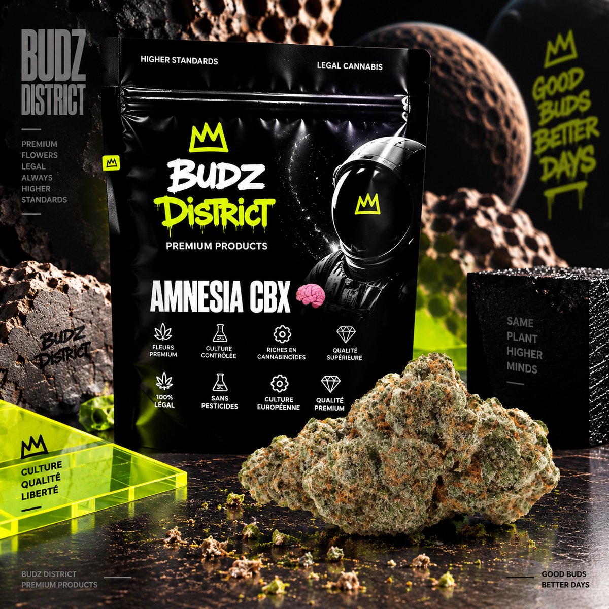 Amnesia CBX 🧠