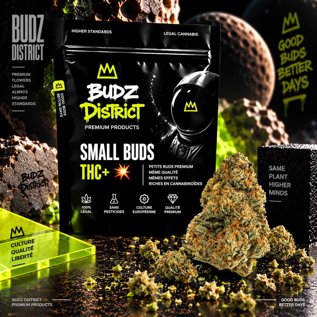Small Buds THC+ 💥