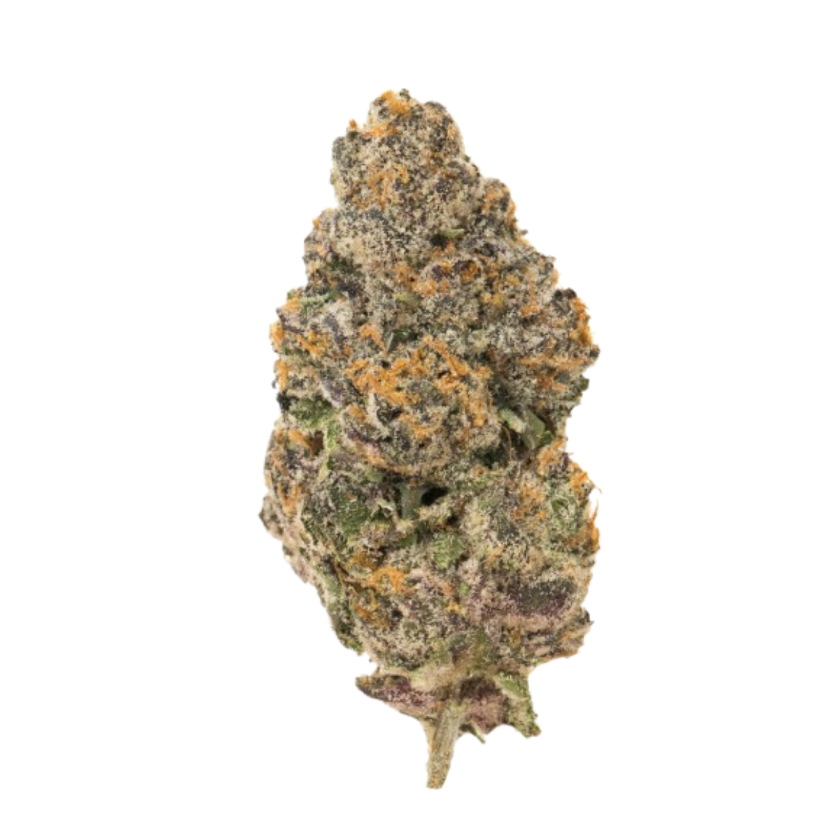 Trichomes : pourquoi ils comptent autant dans une fleur de CBD