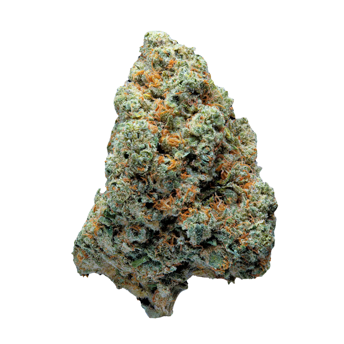 Comment reconnaître une fleur de CBD de qualité