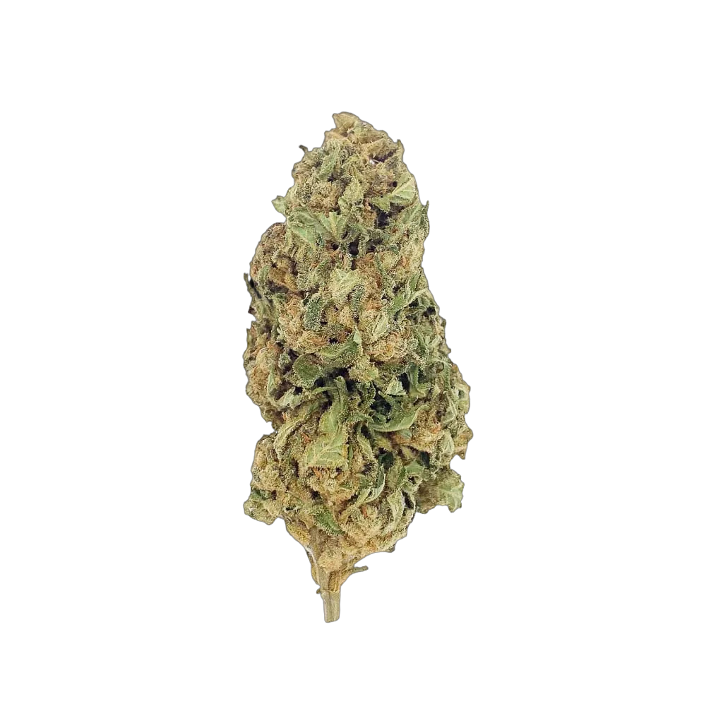 Myrcène, limonène, caryophyllène : le guide des terpènes principaux