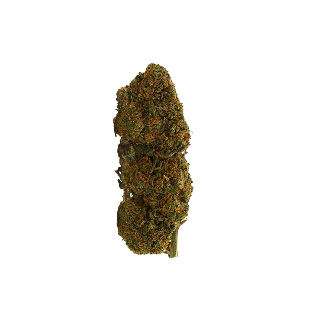 OG Kush CBD : la reine des variétés Kush
