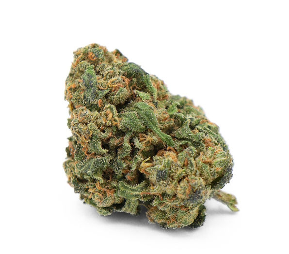Humidité des fleurs de CBD : le bon taux pour les conserver