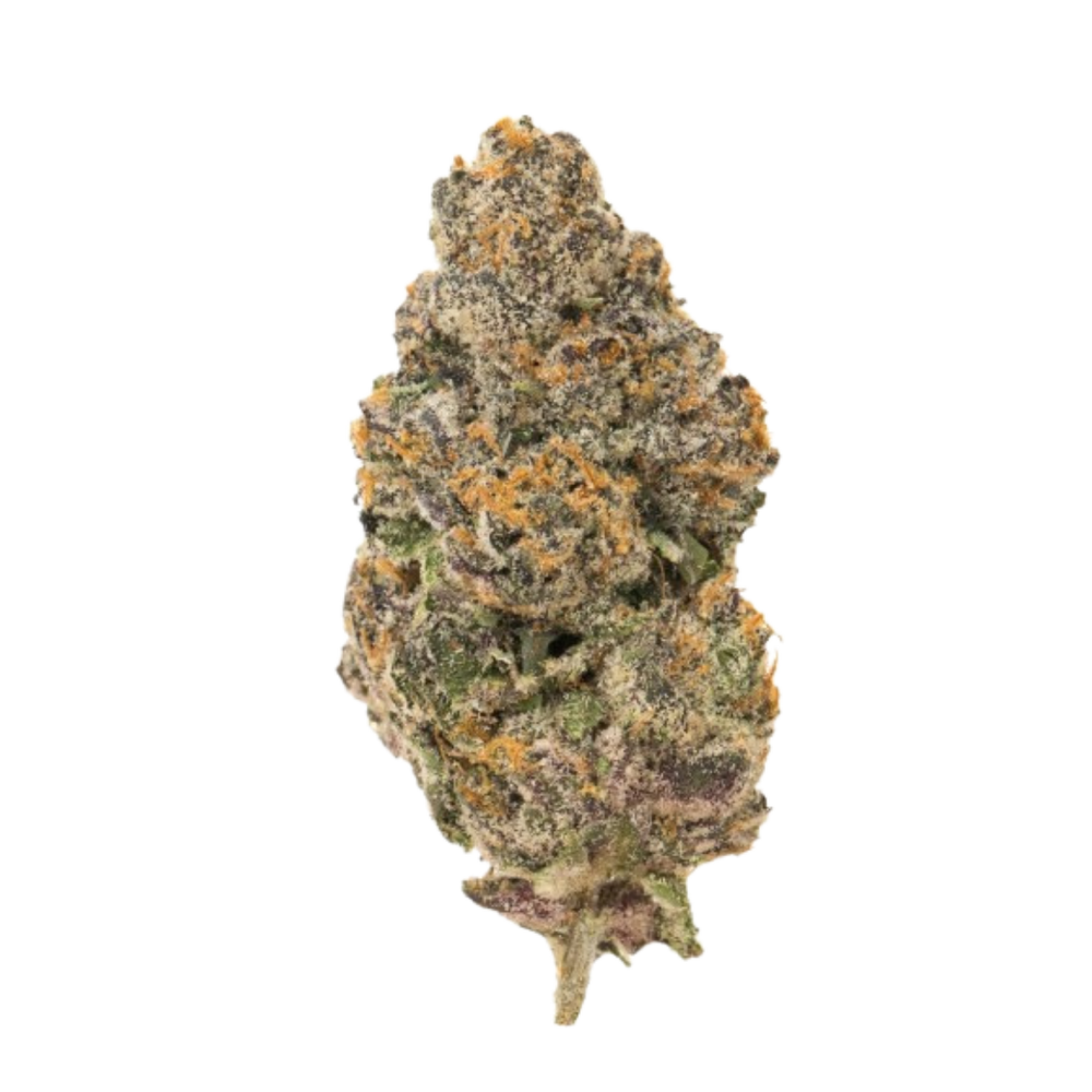 Biscotti THC+ – fleur THC+ BUDZ DISTRICT