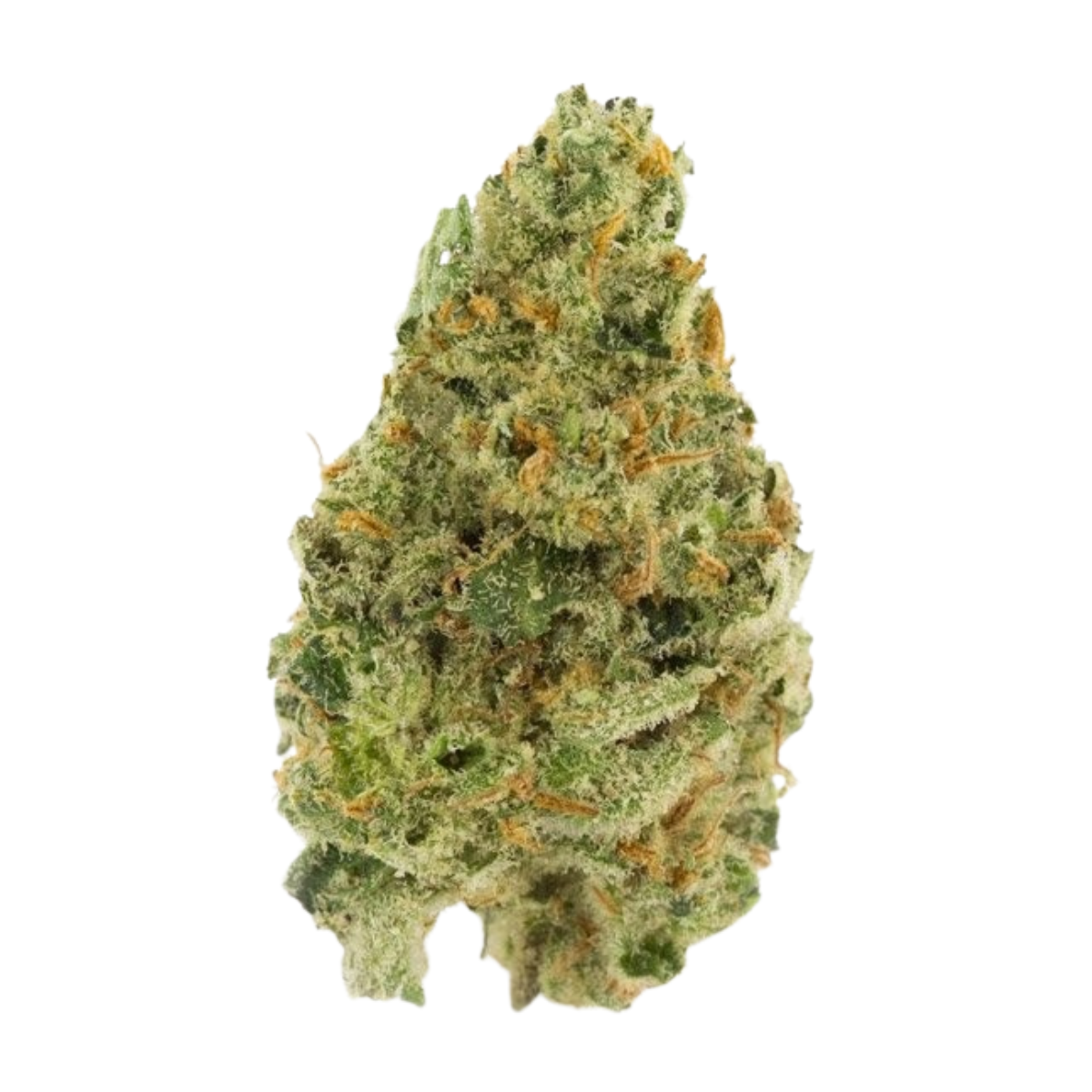 Cali Silver Haze THC+ – fleur THC+ BUDZ DISTRICT