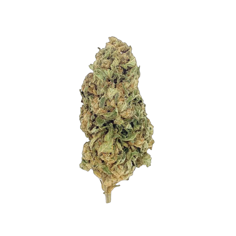 Lemon 10-OH-HHC – fleur 10-OH-HHC BUDZ DISTRICT