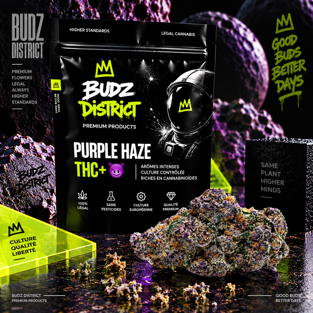Purple Haze THC+ 😈