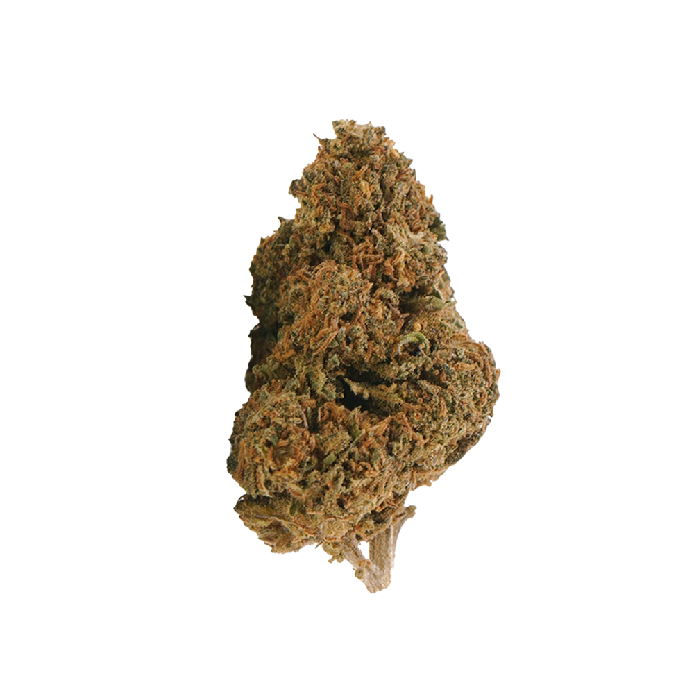 Jack Herer THCX 2.0 – fleur THCX 2.0 BUDZ DISTRICT