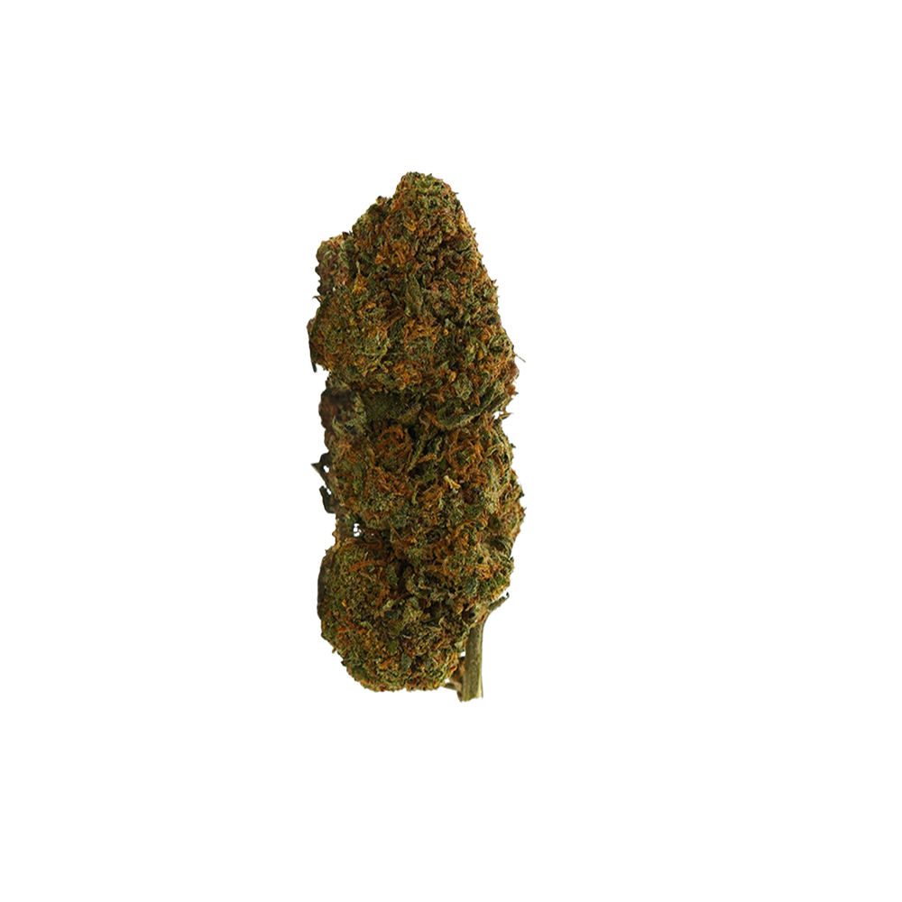 Prime Kush TH-X – fleur TH-X BUDZ DISTRICT