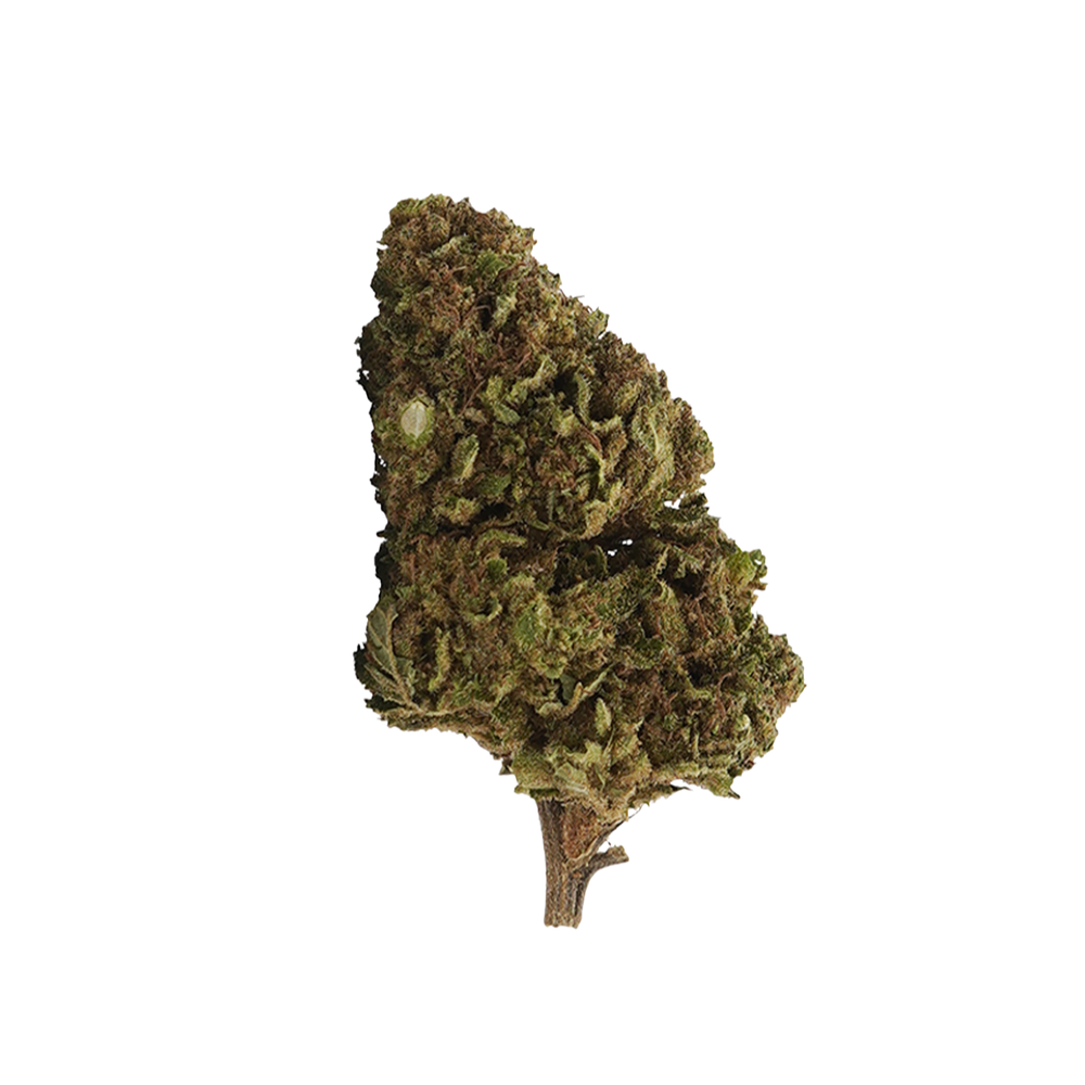 White Widow 10-OH-HHC – fleur 10-OH-HHC BUDZ DISTRICT
