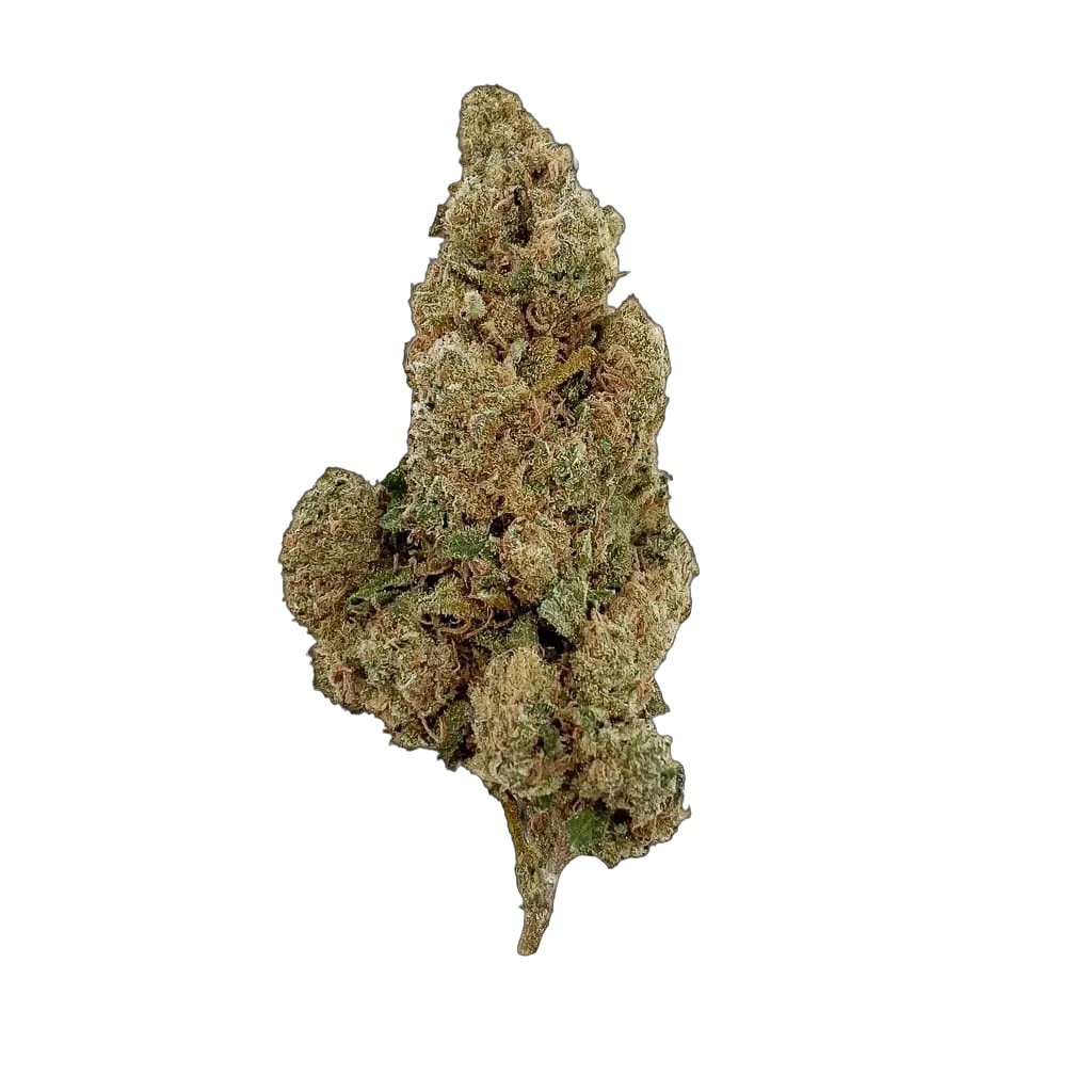 Amnesia 10-OH-HHC – fleur 10-OH-HHC BUDZ DISTRICT