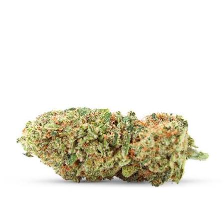Cali GMO Cookies THCX 2.0 – fleur THCX 2.0 BUDZ DISTRICT